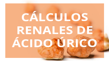 Cálculos renales de ácido úrico