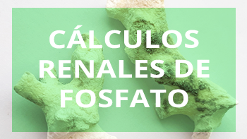 Cálculos renales de fosfato cálcico