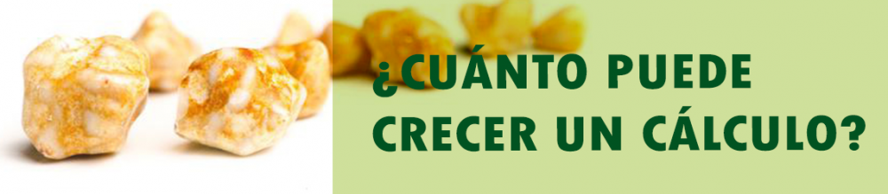 ¿Cuánto puede crecer un cálculo?